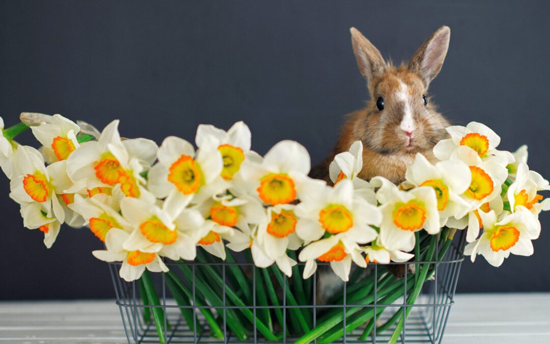 Ostern in Fredersdorf