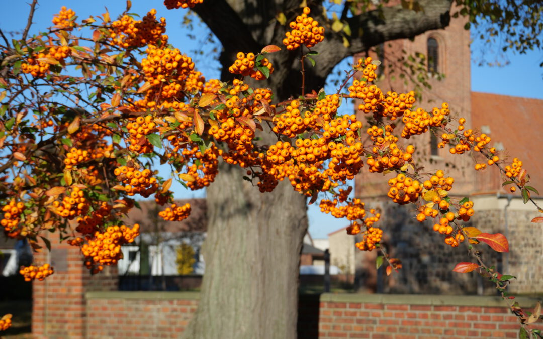 Herbstfest und Erntedank in Fredersdorf