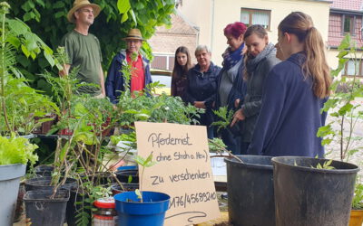 1. Fredersdorfer Pflanzenbörse