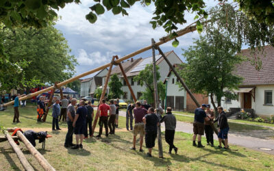 Das Aufstellen der Pfingstmaie in Fredersdorf