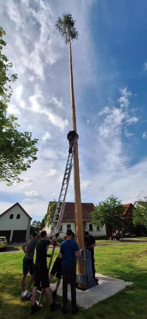 2026 Aufstellen der Pfingstmaie in Fredersdorf PM